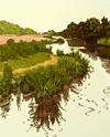 Original Landscape Etching - Winding River - Jan Dingle
